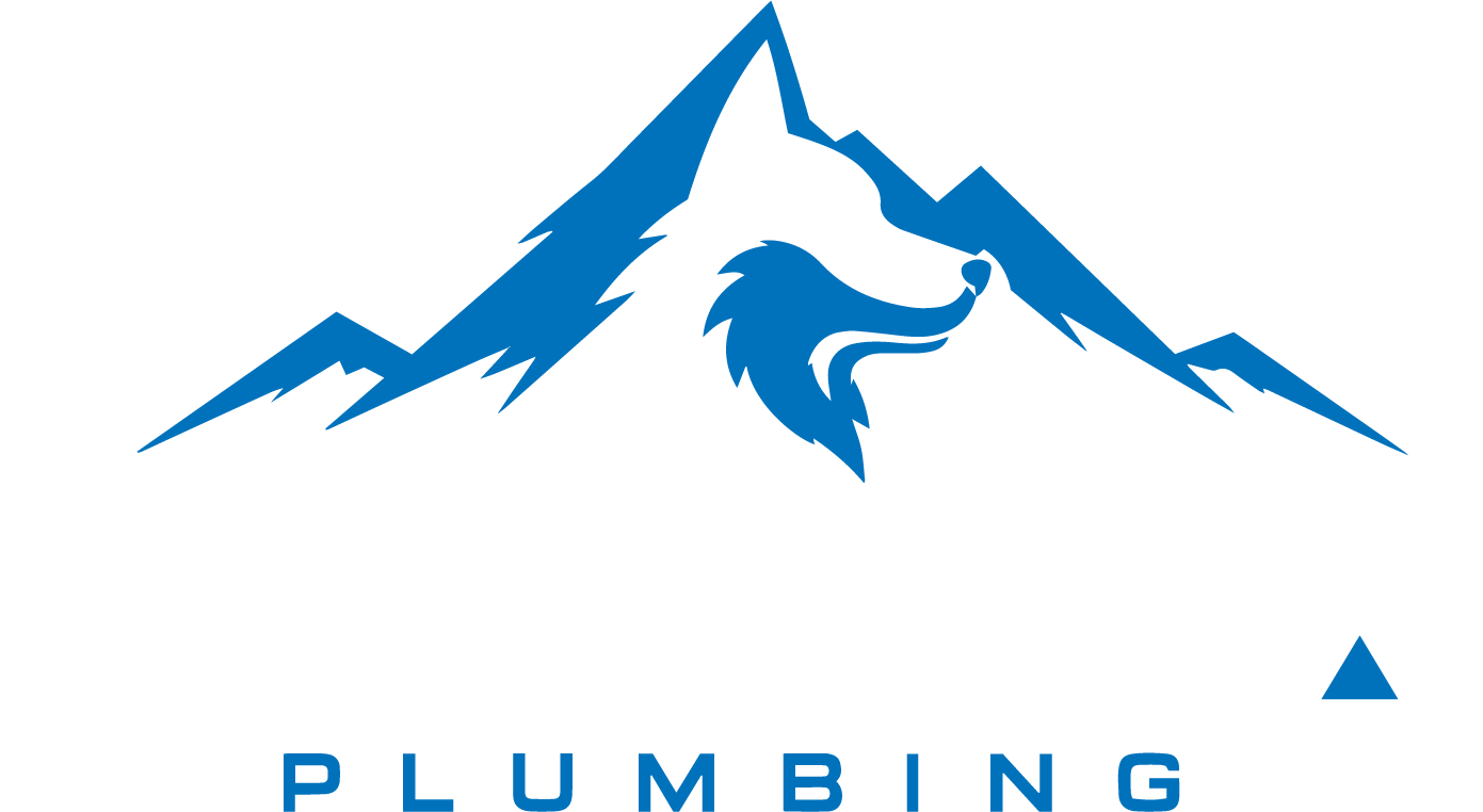 Skyla Plumbing logo on a black background
